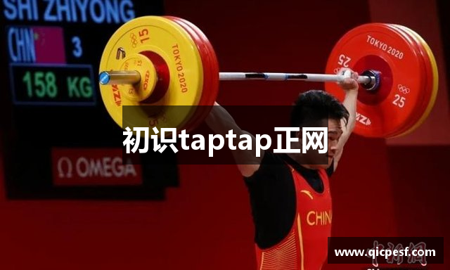 初识taptap正网